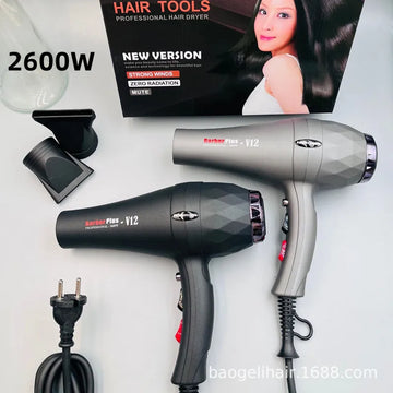 220V Quick Drying Hair Dryer 2600w High-Power Negative Ion Hair Salon Household Constant Temperature Thermoelectric Hair