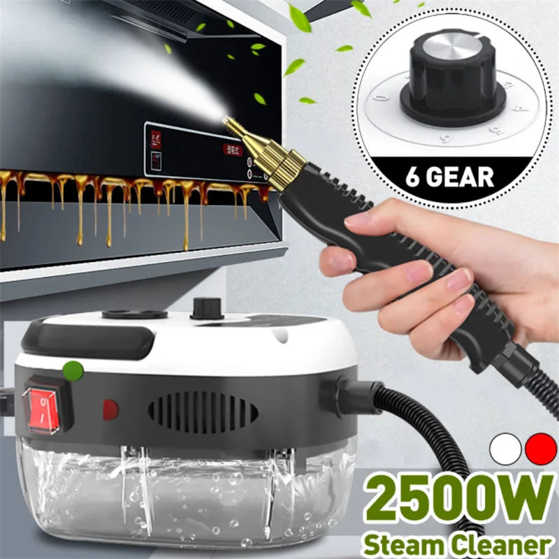 2500W 110V 220V High Pressure And Temperature Handhled Steam Cleaner For Air Conditioner Kitchen Hood Car Steaming Cleaner