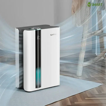 New household mute dehumidifier, an all - in - one indoor air purifier, removing moisture and purifying air.